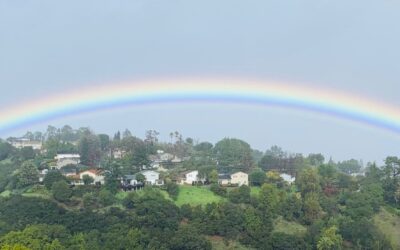 Newsletter – Winter 2019